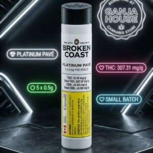 PLATINUM PAVE PR5X0.5G