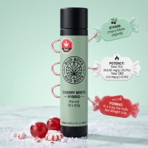 cherry mints pr10x0.5gm